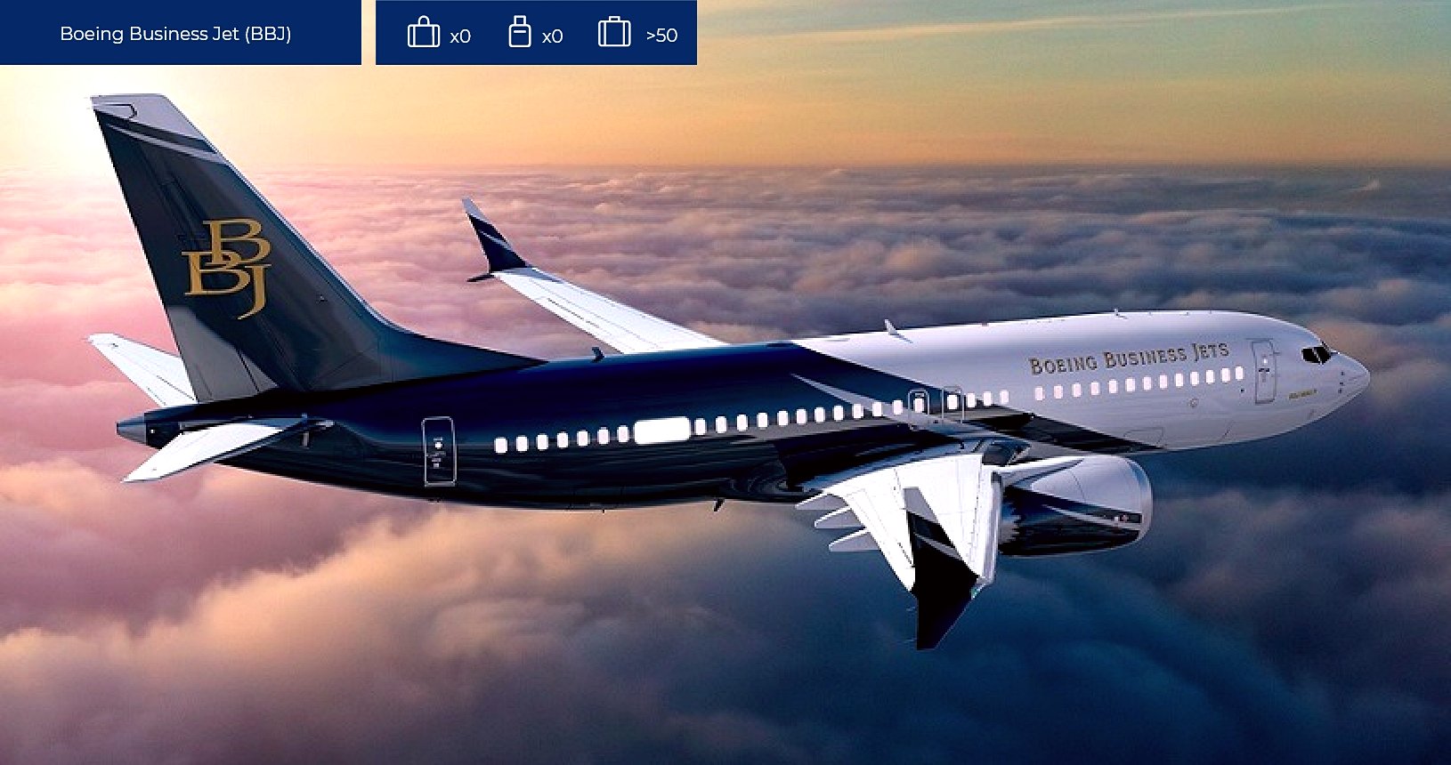 zela-jet-Boeing-Business-Jet-(BBJ)-Ext